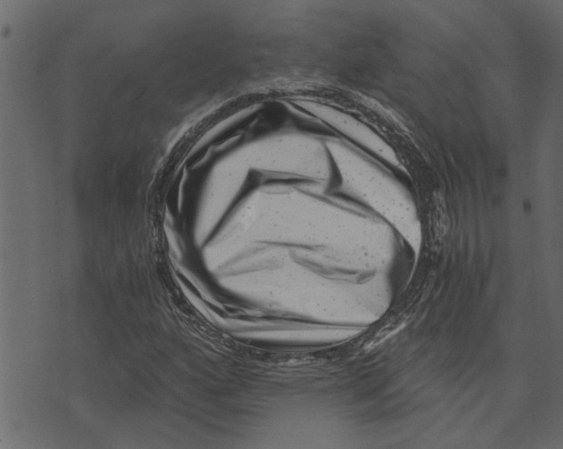 X0000072961160200608181424