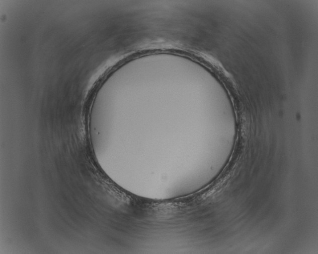 X0000072961167200608181424