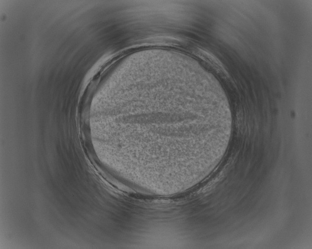 X0000072961180200608181424