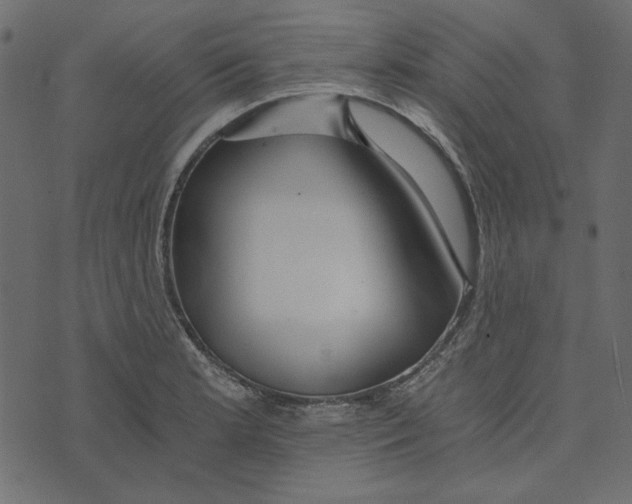 X0000072961181200608181424