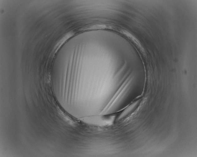 X0000072961193200608181423