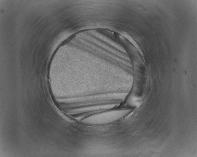 X0000072961197200608181423