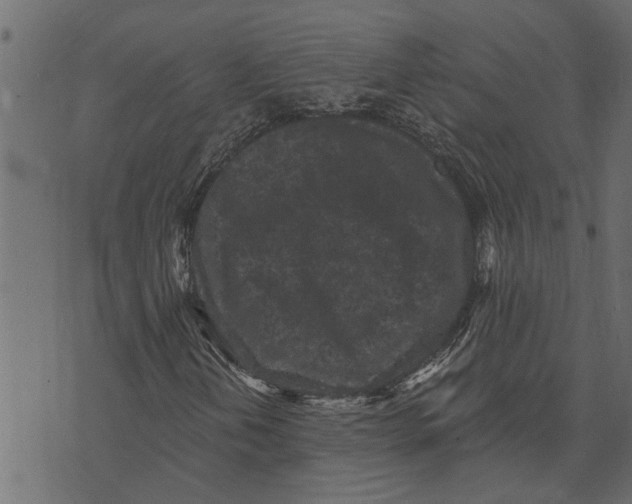 X0000072961202200608181423