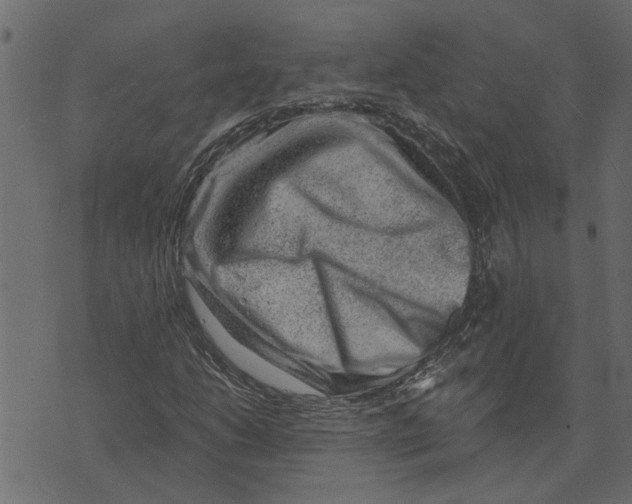 X0000072961206200608181423