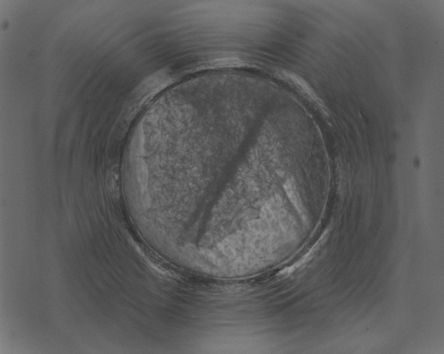 X0000072961225200608181423