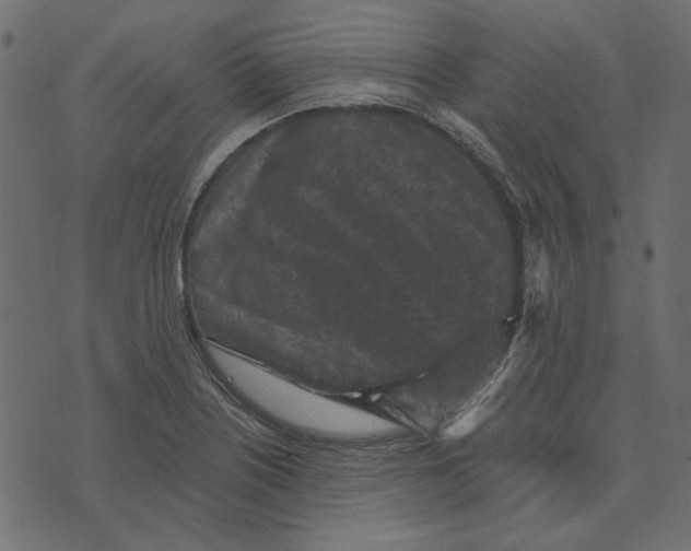X0000072961226200608181423