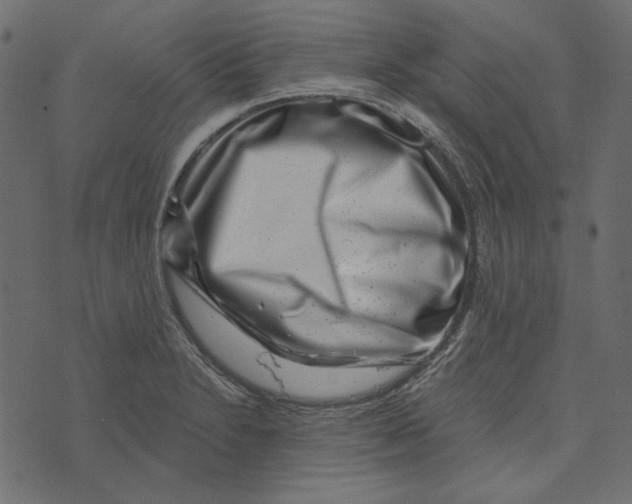 X0000072961230200608181423