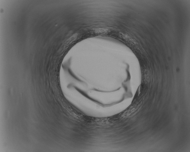 X0000072961249200608181423