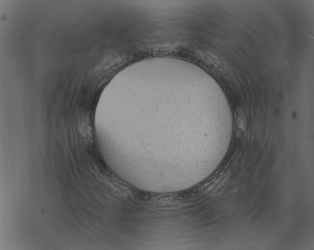 X0000072961252200608181422