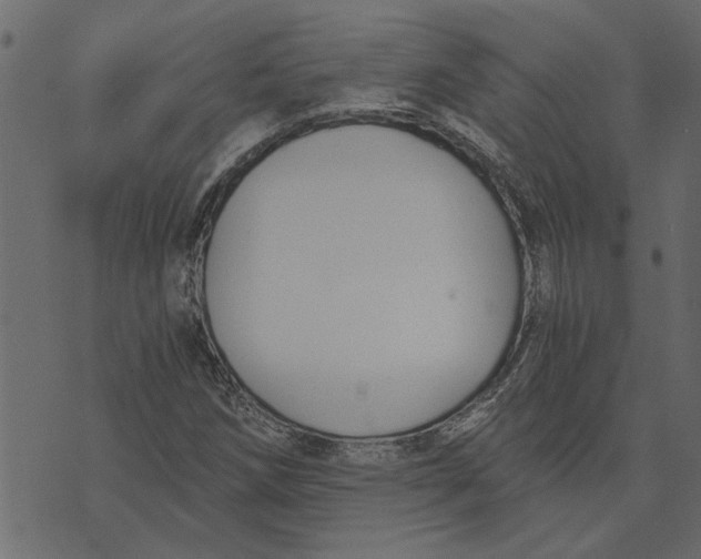 X0000072961258200608181422