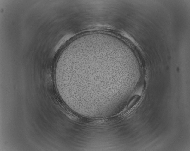 X0000072961259200608181422