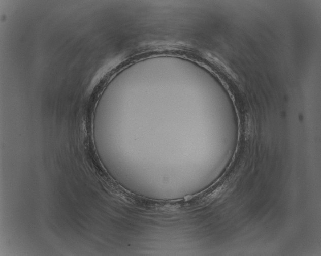 X0000072961261200608181422