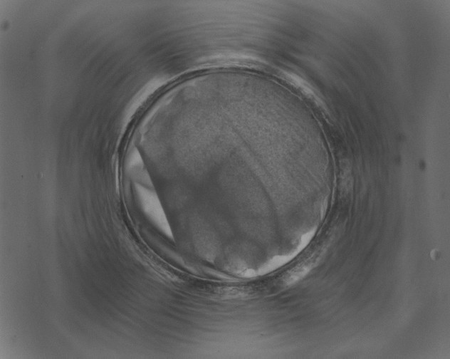 X0000072961275200608181422