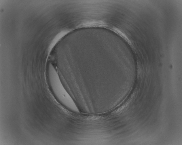 X0000072961277200608181422
