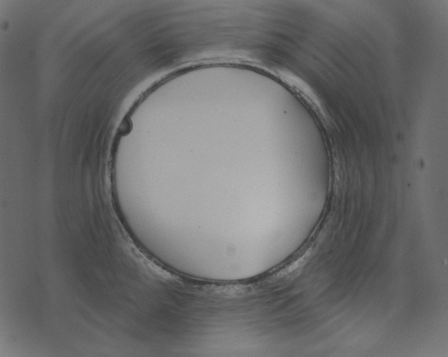 X0000072961288200608181422