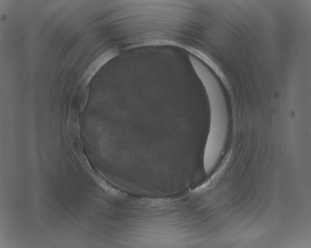 X0000072961289200608181422