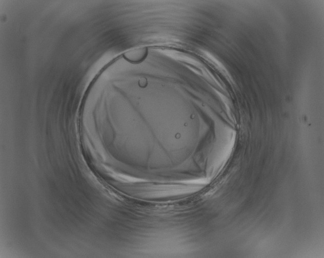 X0000072961291200608181422