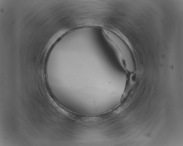 X0000072961293200608181422