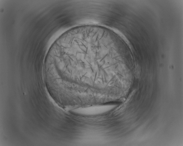 X0000072961295200608181422