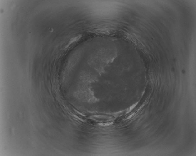 X0000072961297200608181421