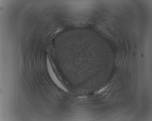 X0000072961298200608181421