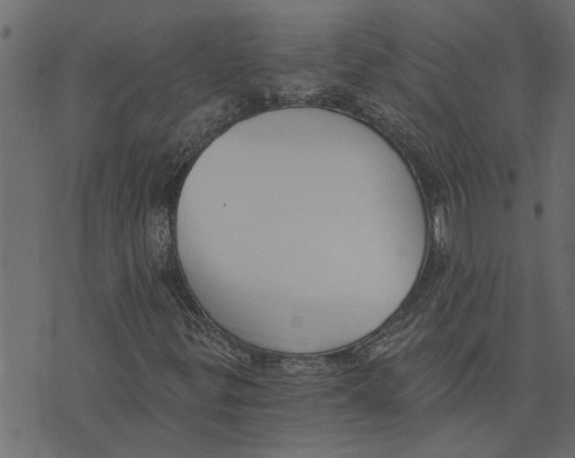 X0000072961299200608181421