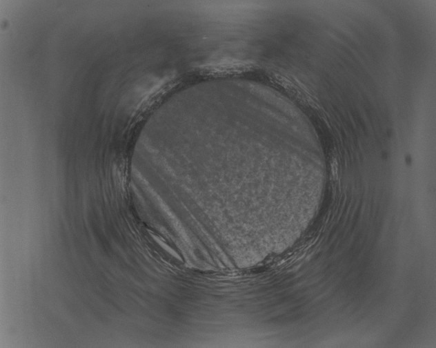 X0000072961300200608181421