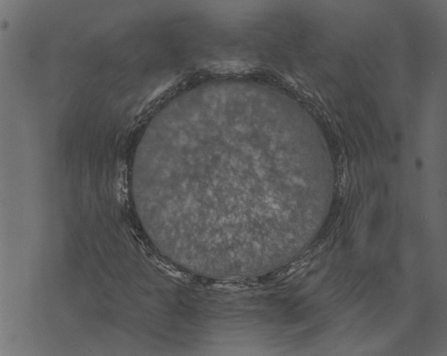 X0000072961301200608181421