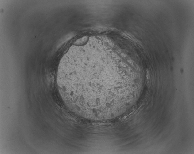 X0000072961302200608181421