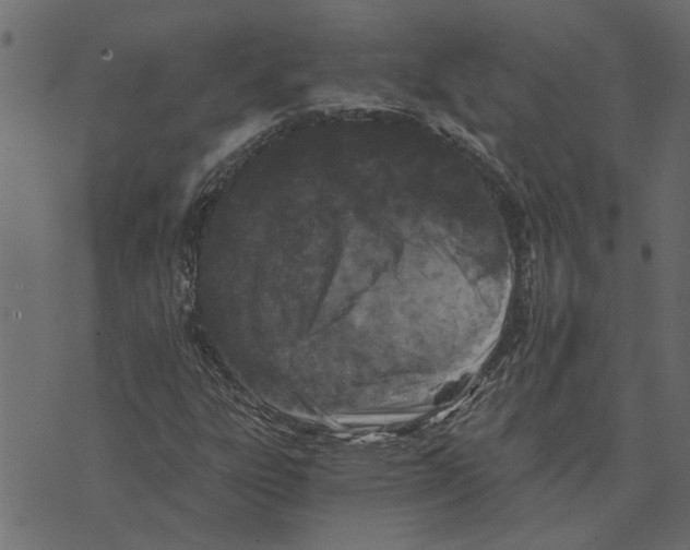 X0000072961303200608181421