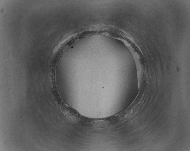 X0000072961304200608181421