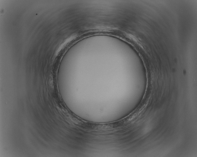 X0000072961307200608181421