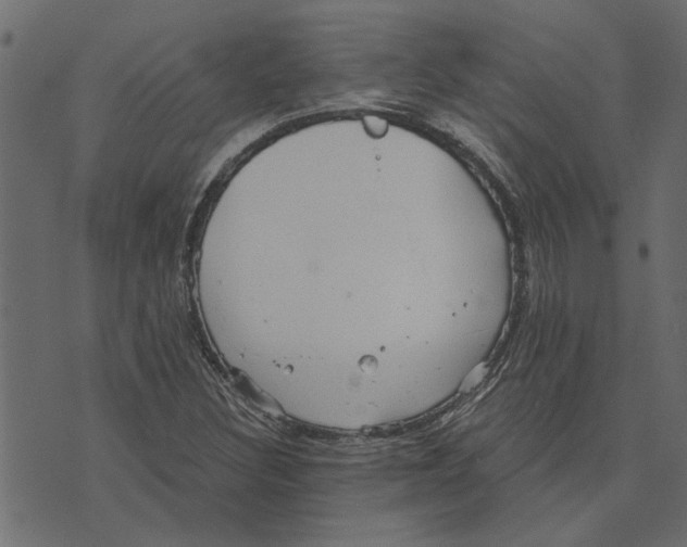 X0000072961308200608181421