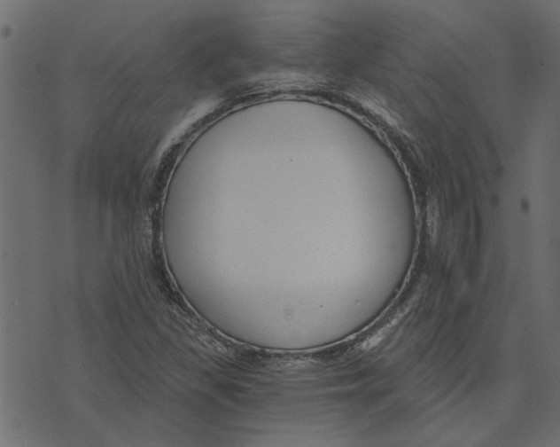 X0000072961309200608181421