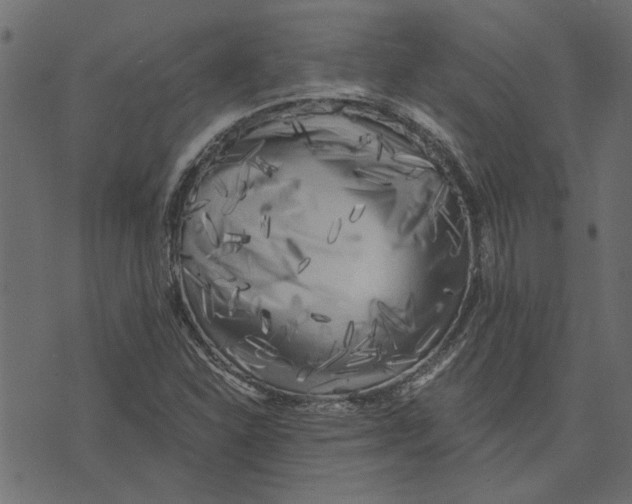 X0000072961310200608181421