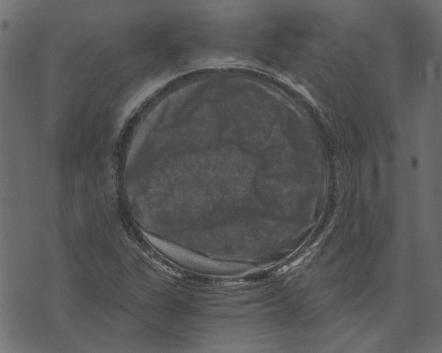 X0000072961311200608181421