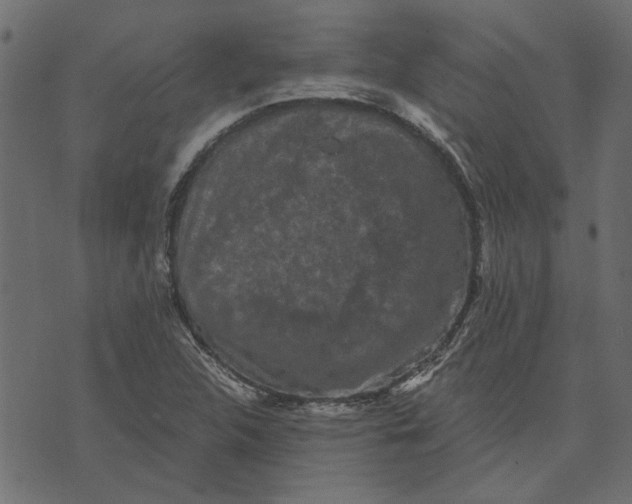 X0000072961312200608181421