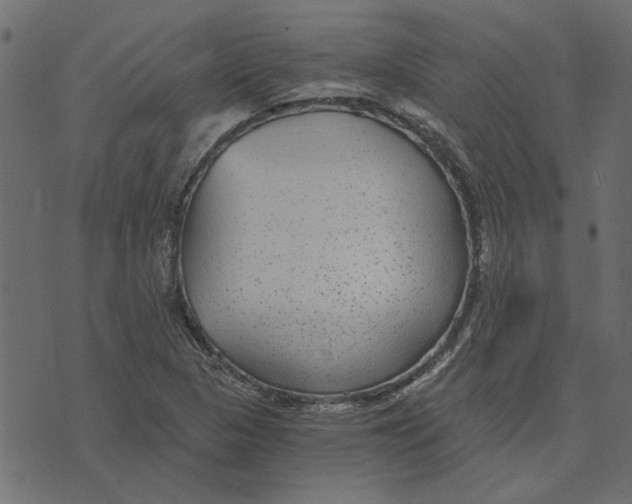 X0000072961313200608181421