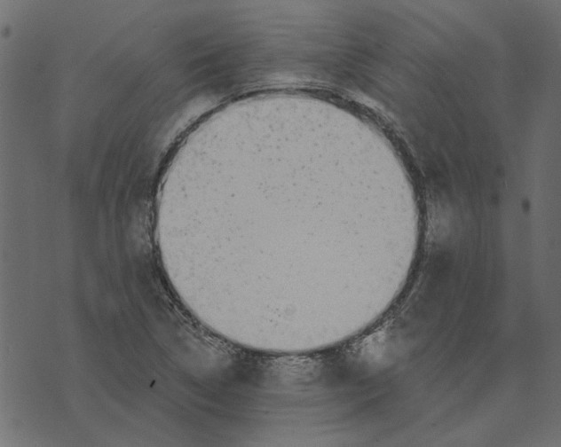 X0000072961314200608181421