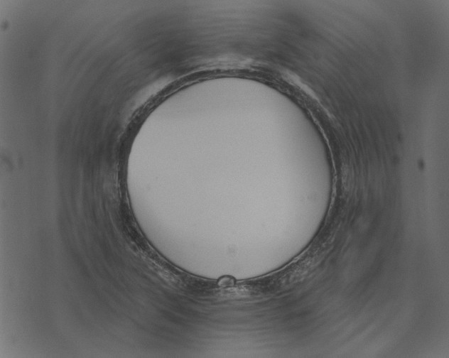 X0000072961315200608181421