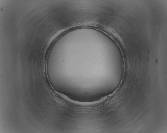 X0000072961316200608181421