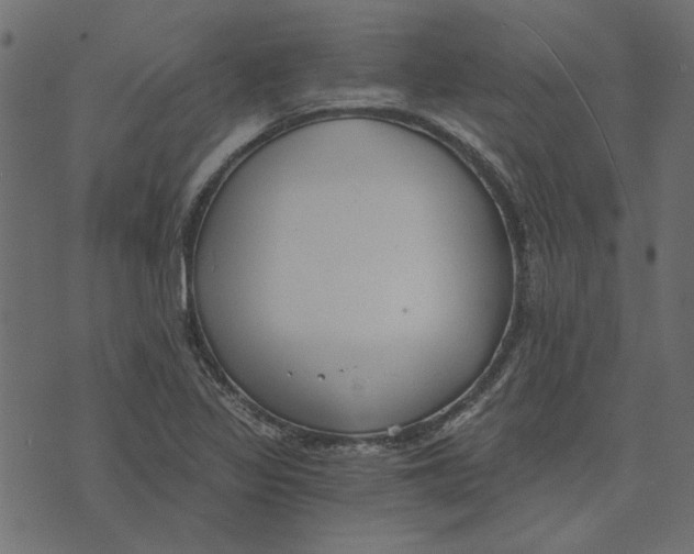 X0000072961317200608181421