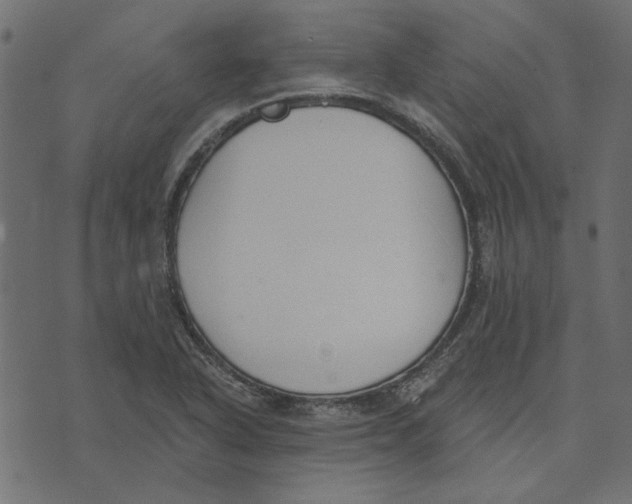 X0000072961318200608181421