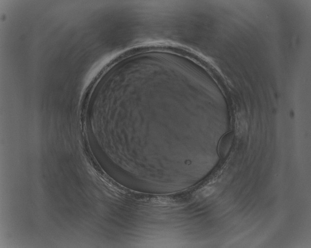 X0000072961319200608181421