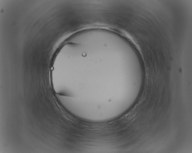 X0000072961320200608181421