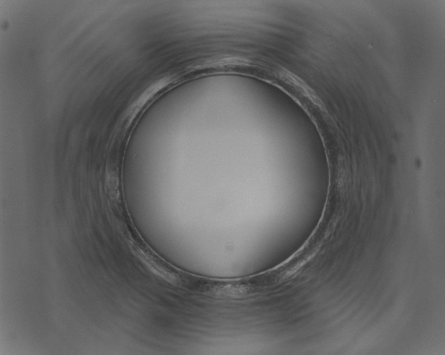 X0000072961321200608181421