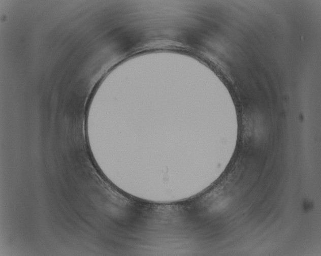 X0000072961322200608181421