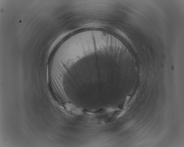 X0000072961323200608181421