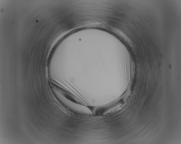 X0000072961324200608181421