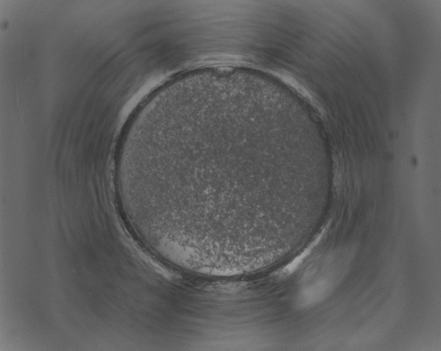 X0000072961325200608181421